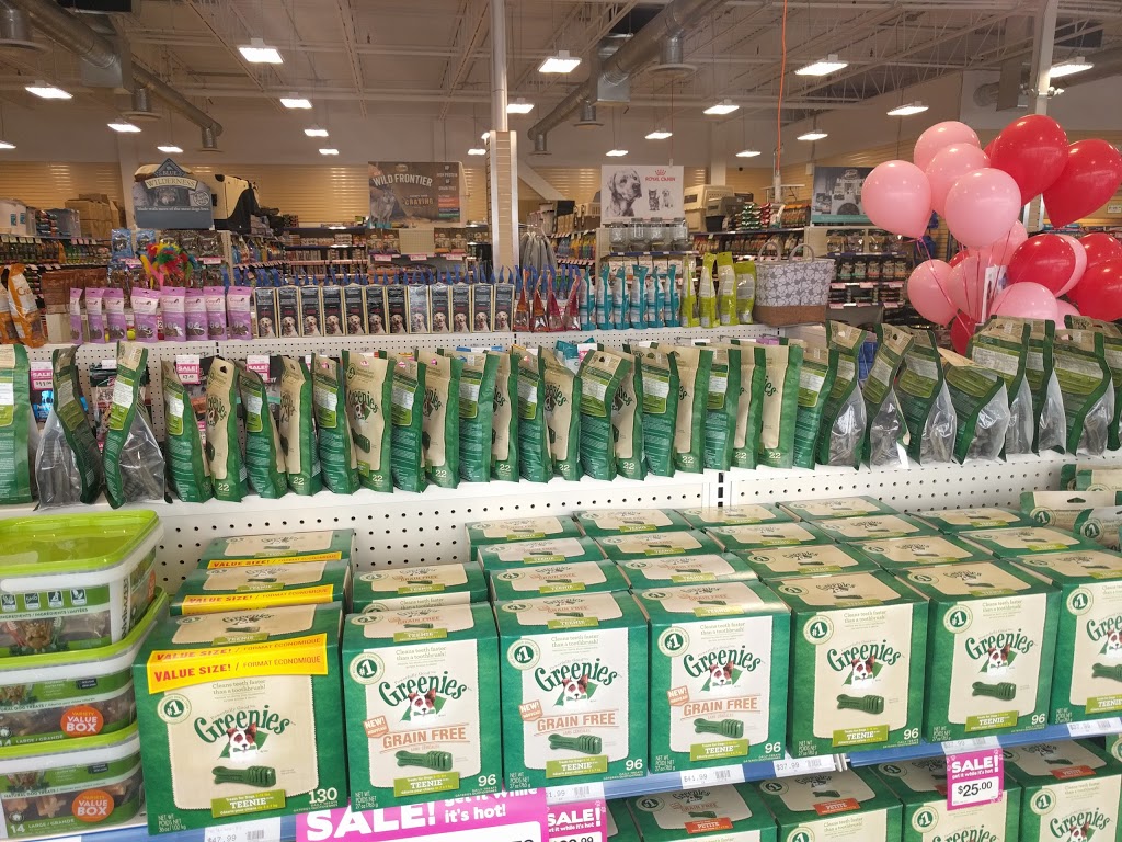 Rens Pets Aurora | 239 Earl Stewart Dr #5, Aurora, ON L4G 7Y3, Canada | Phone: (905) 503-2143