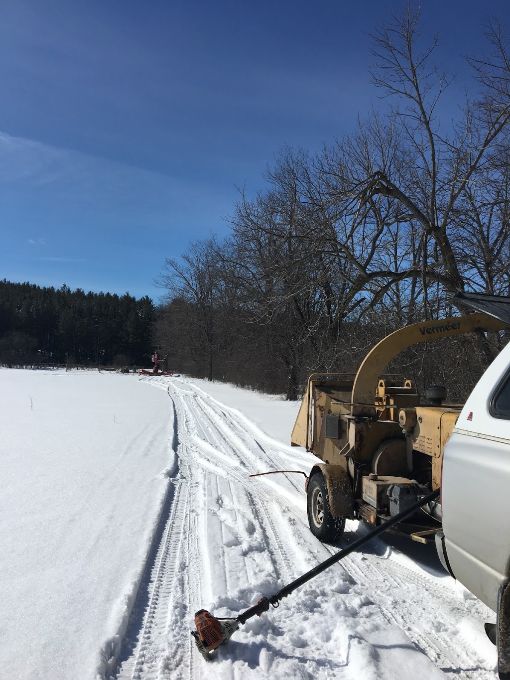 A&J Tree and Shrub Care Inc. | 451 Wilson St, Eden Mills, ON N0B 1P0, Canada | Phone: (519) 856-4226