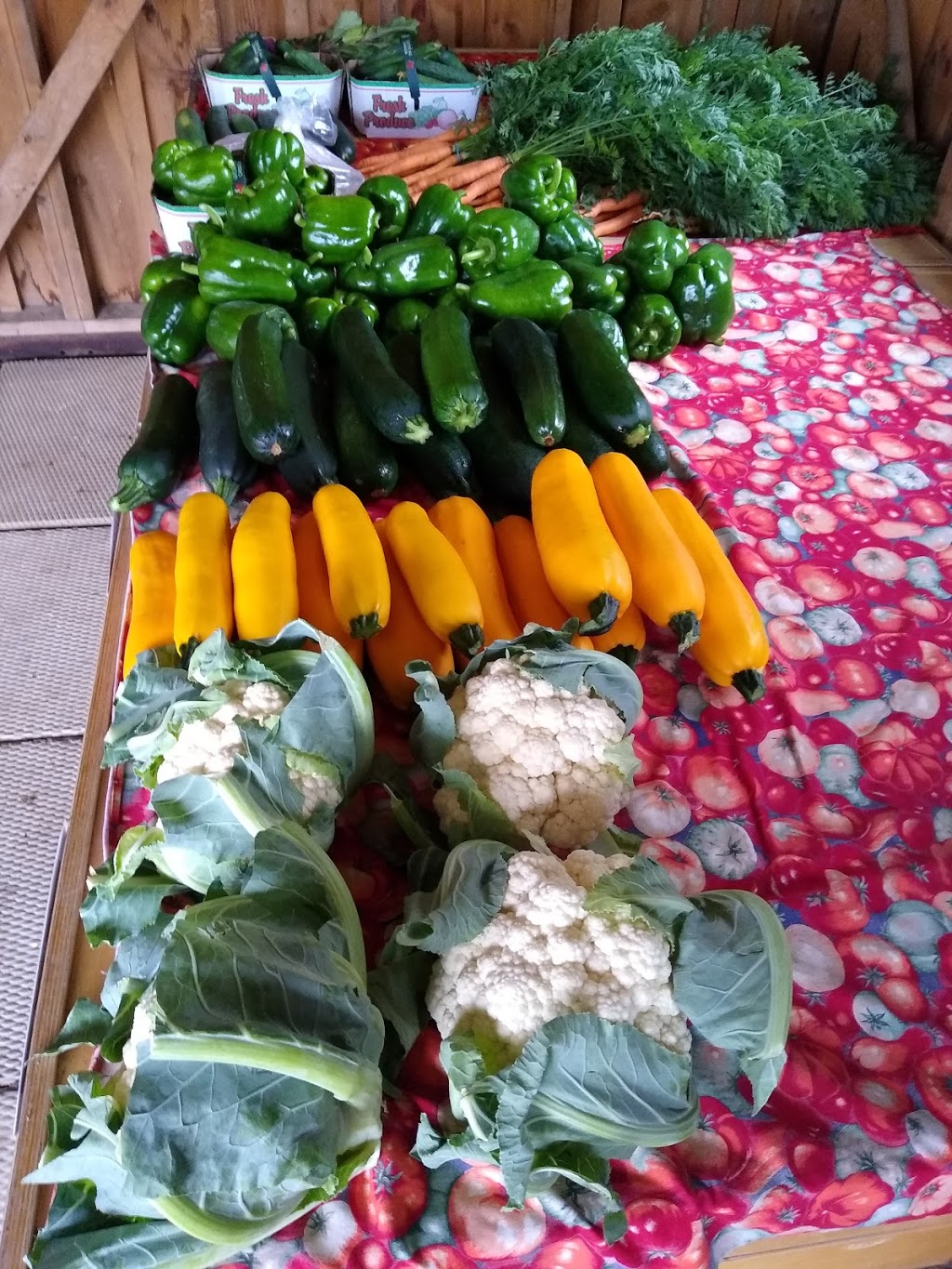 TJs Farm Fresh | 3010 Kossuth Rd, Cambridge, ON N3H 4R7, Canada | Phone: (519) 650-1007