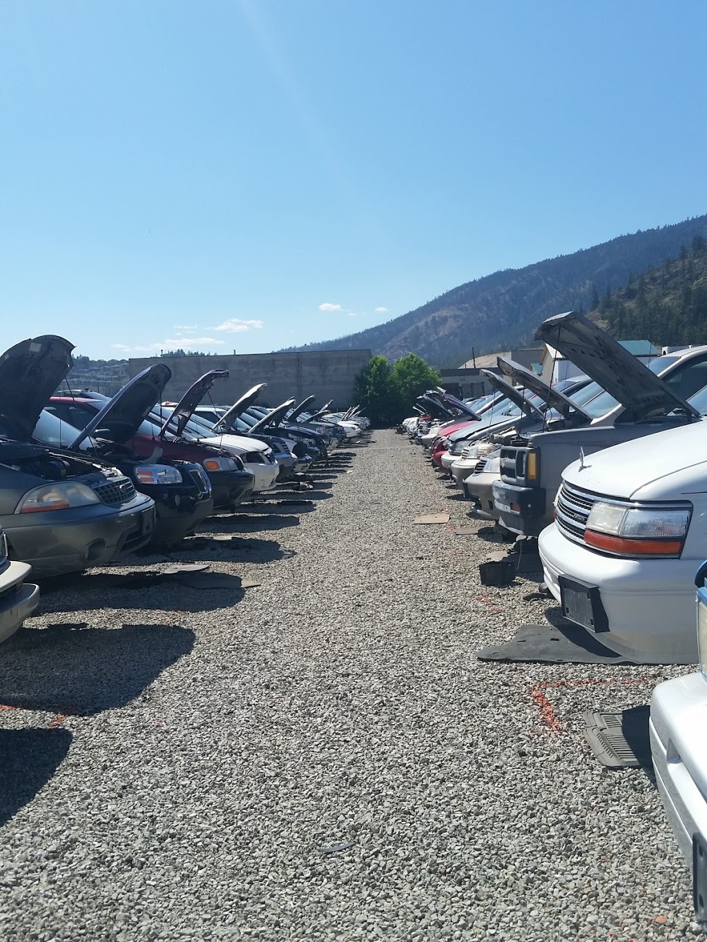 Pick-n-Pull | 1516 Stevens Rd, West Kelowna, BC V1Z 1G2, Canada | Phone: (250) 769-9377
