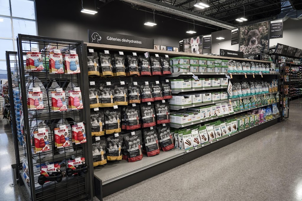 Mondou | 584 Chem. de Touraine Suite 200, Boucherville, QC J4B 8S5, Canada | Phone: (450) 655-4486