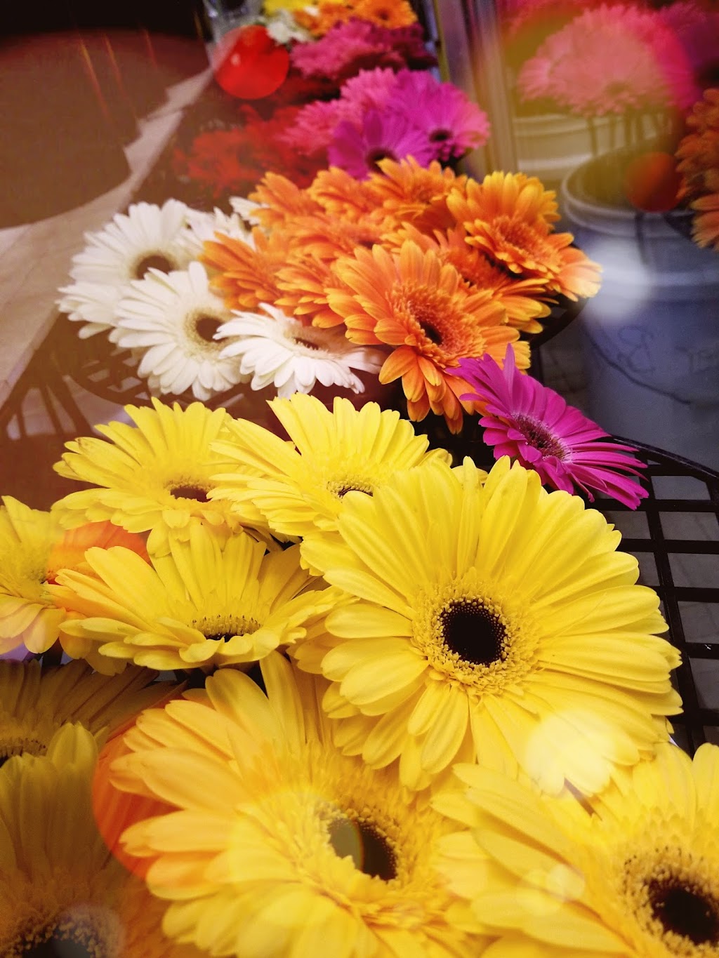 The Flower Barn Westlock | 10016 107 St, Westlock, AB T7P 2K8, Canada | Phone: (780) 349-5454
