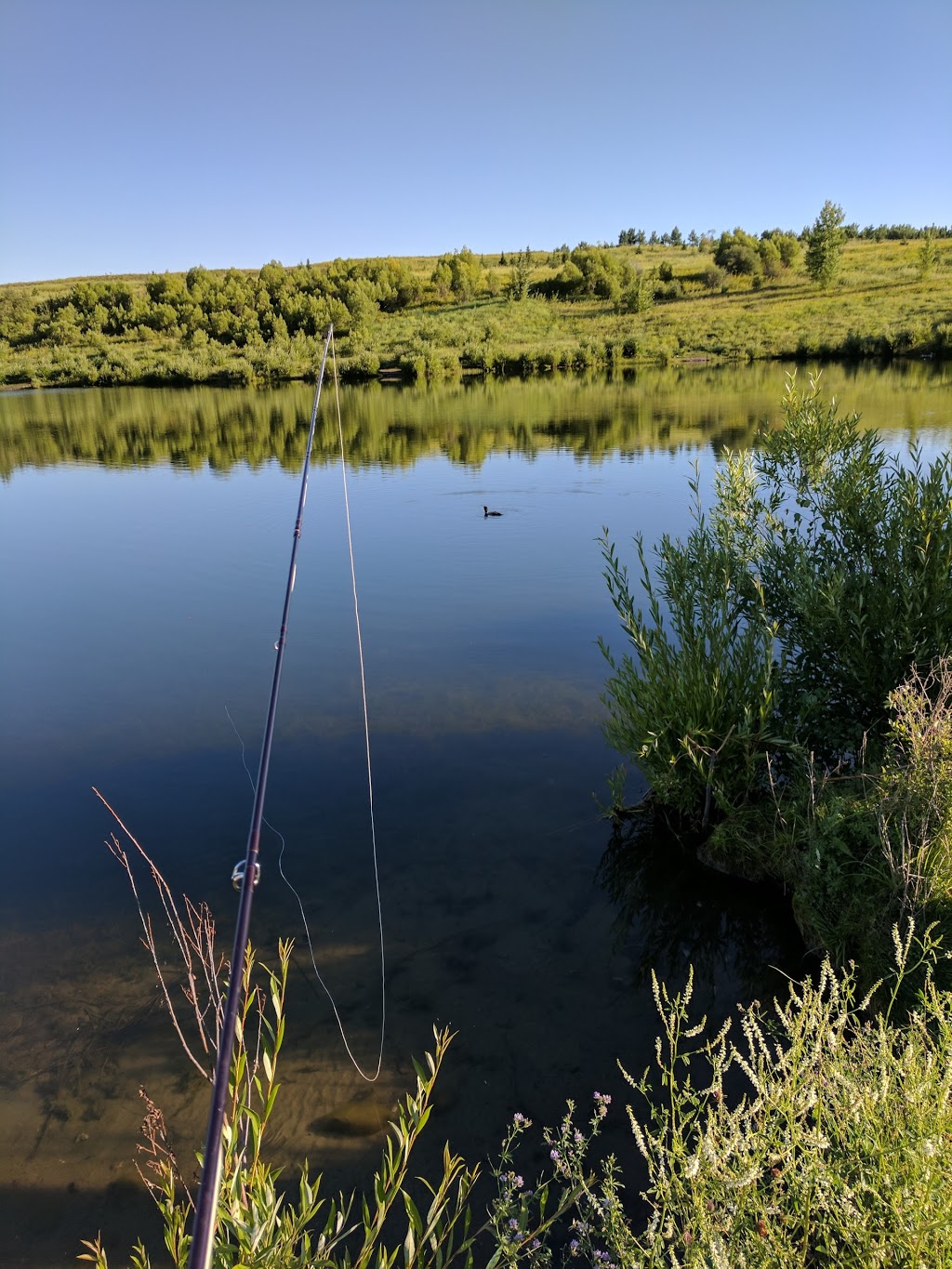 Coal Diamond Sports Park | Wabamun, AB T0E 2K0, Canada | Phone: (780) 892-2699