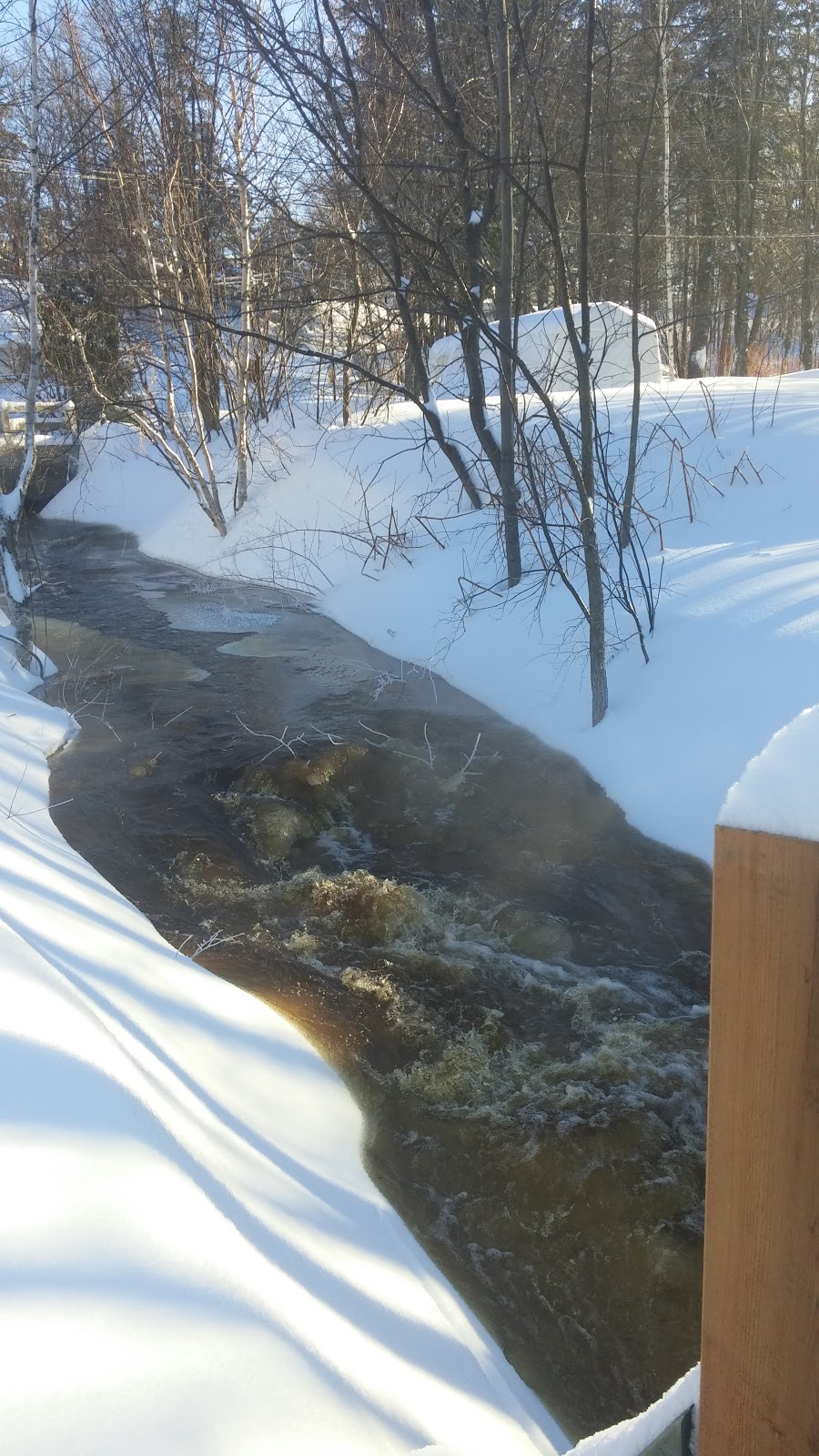 Parc Ian Breakey | 47 Rue Sainte-Hélène, Sainte-Hélène-de-Breakeyville, QC G0S 1E2, Canada