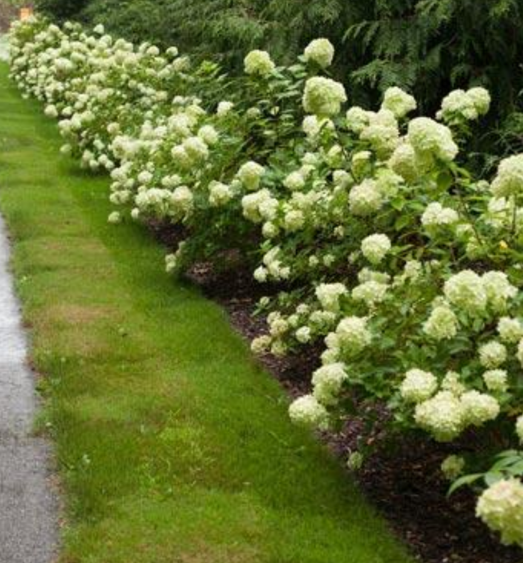 GGG Greenhouses And Garden Center | 434201 4 Line, Amaranth, ON L9W 0P3, Canada | Phone: (519) 942-4005