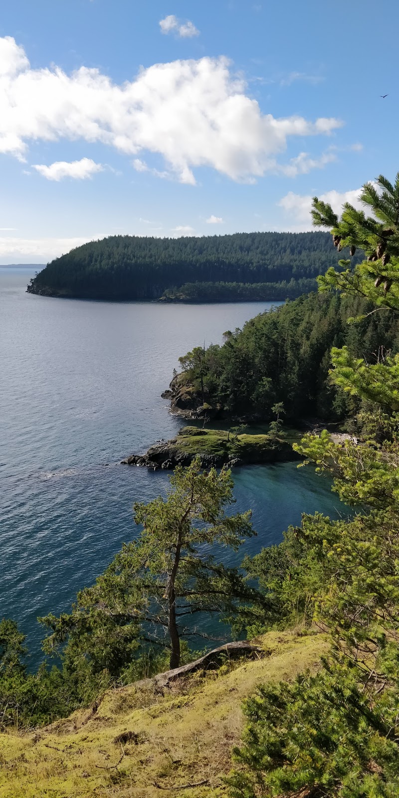 Winter Cove Marine Park | Church Bay Rd, Saturna, BC V0N 2Y0, Canada