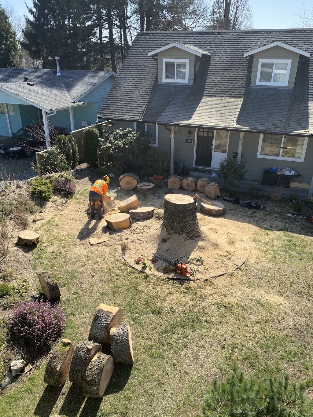 Ridge Meadows Tree Service | 12351 203 St, Maple Ridge, BC V2X 4V9, Canada | Phone: (604) 353-4979