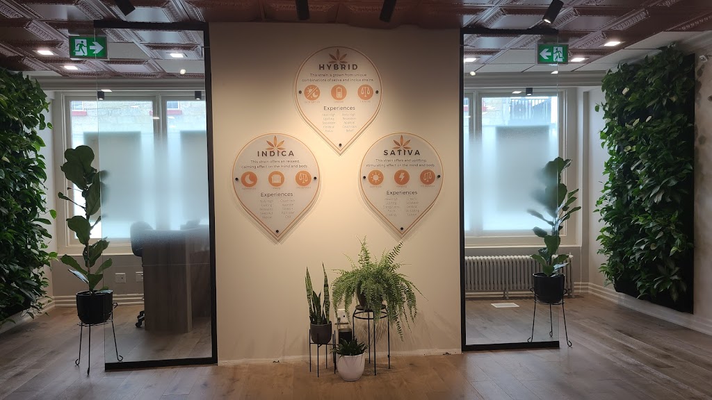 The Spot Cannabis Co. Waterdown | 5 Mill St S Unit 2, Waterdown, ON L0R 2H0, Canada | Phone: (289) 895-8050