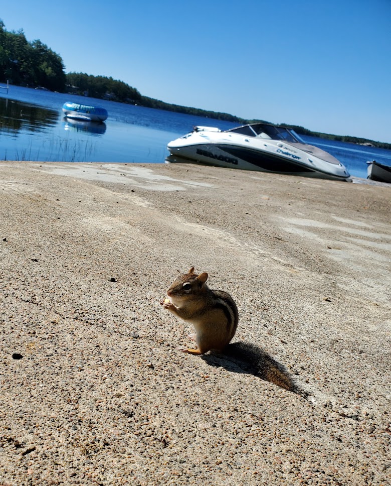 ZuKa Lakehouse | 1649 Kilworthy Rd, Kilworthy, ON P0E 1G0, Canada | Phone: (416) 319-5087