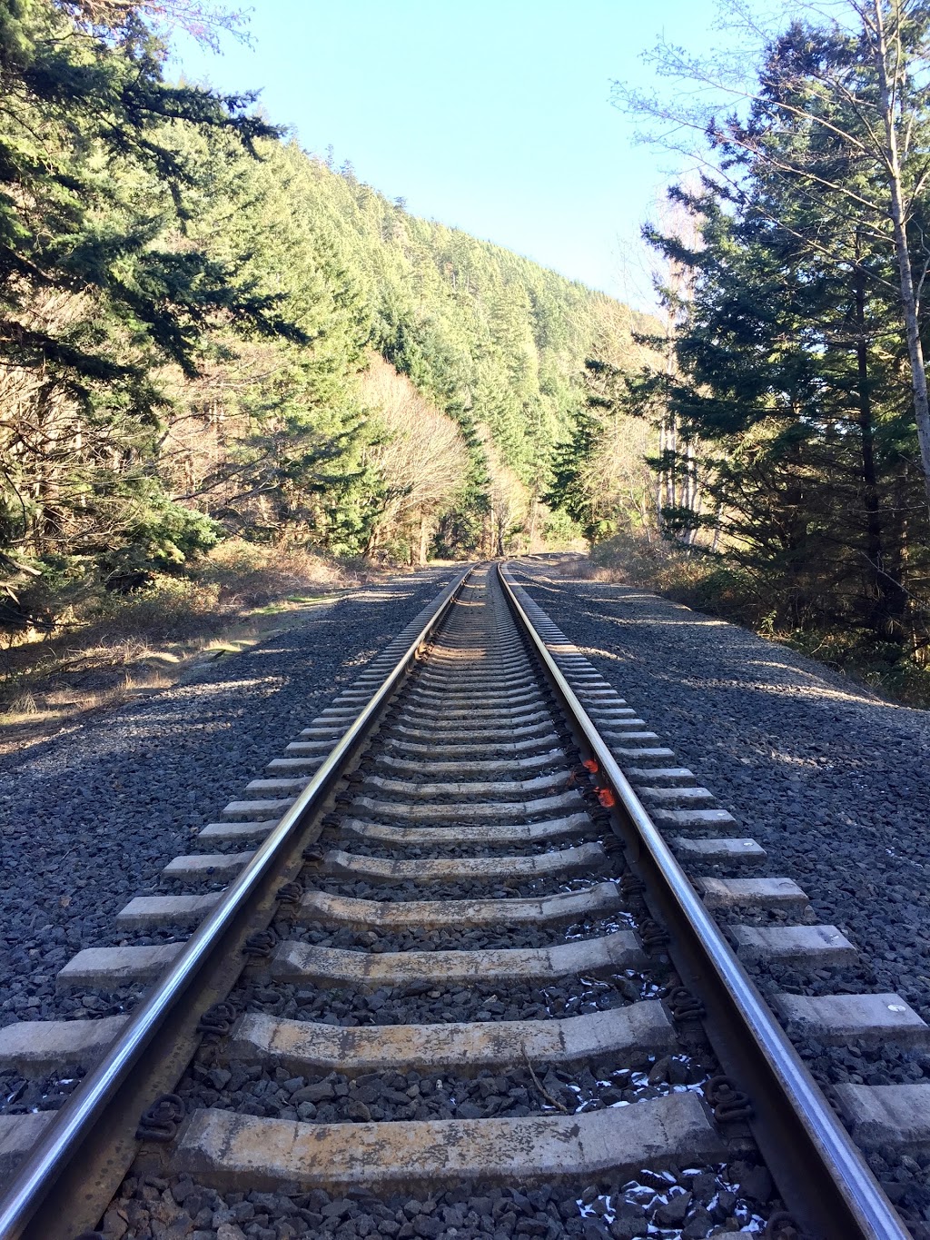 Clayton Beach | Bow, WA 98232, USA