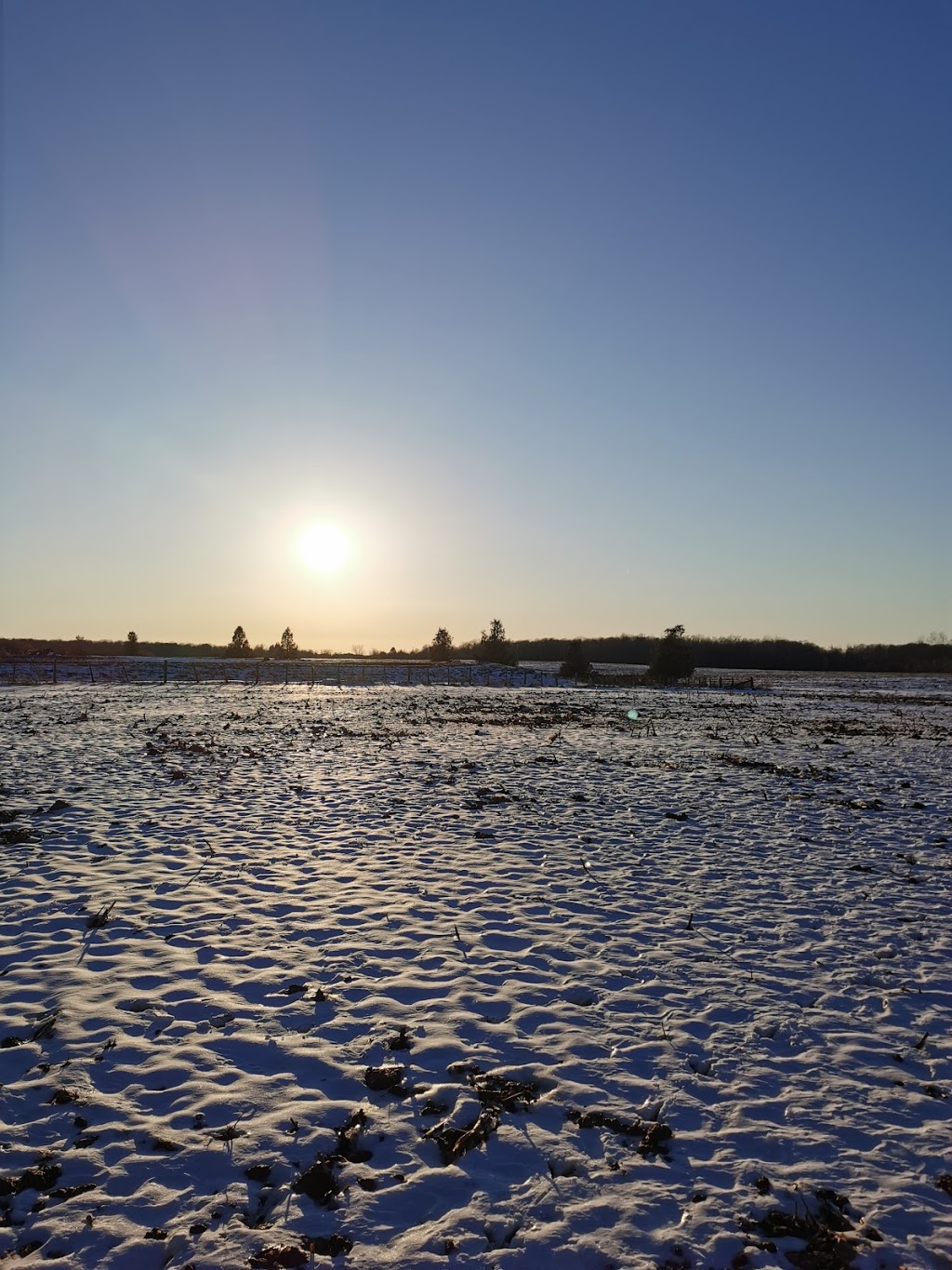 Hill & Hill Farms | 38631 Mill Rd, Varna, ON N0M 2R0, Canada | Phone: (519) 233-3218