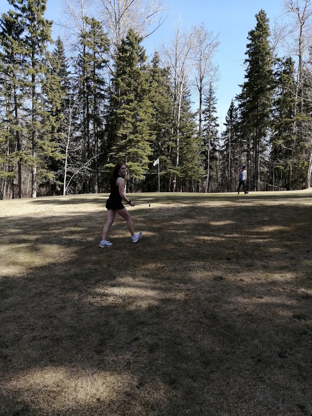 Dragons Head Par 3 Golf Club | 12240 199 St NW, Edmonton, AB T5V 1T8, Canada | Phone: (780) 944-4653