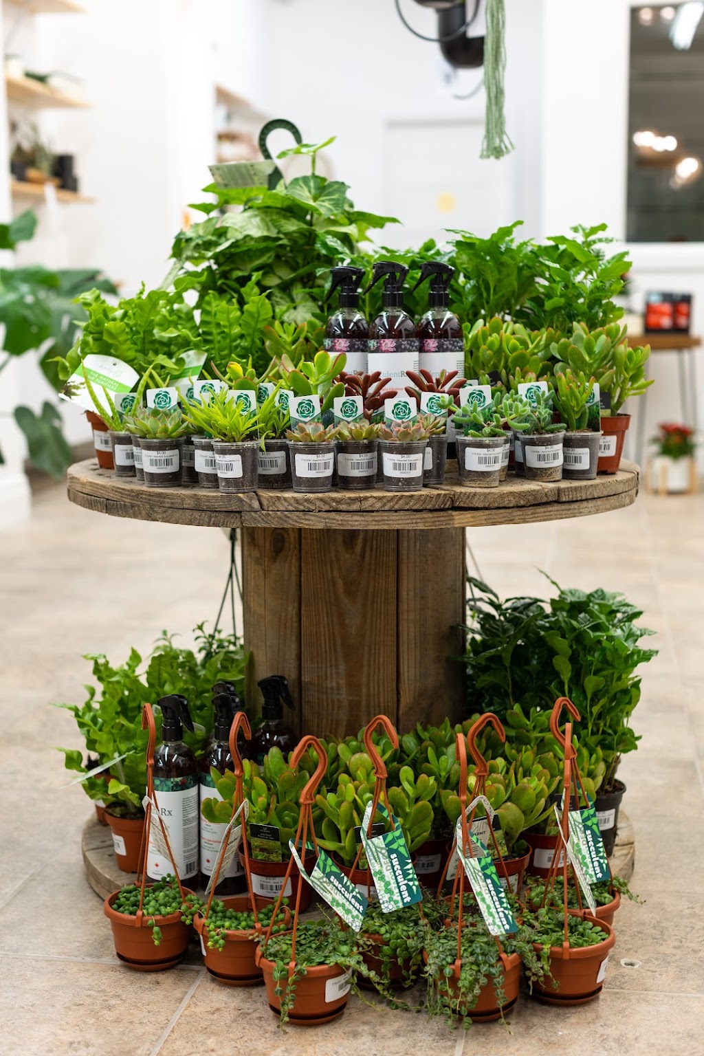 Elizabeth Watson Floral & Artisan Shop | 6980 Millbank Main St, Millbank, ON N0K 1L0, Canada | Phone: (519) 595-3928