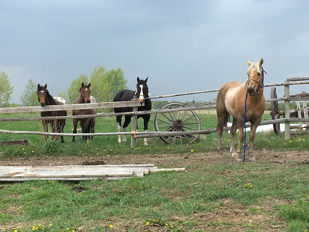 Good Spirit Acres Campground | Cardston County, AB T0L 0Z0, Canada | Phone: (403) 634-6316