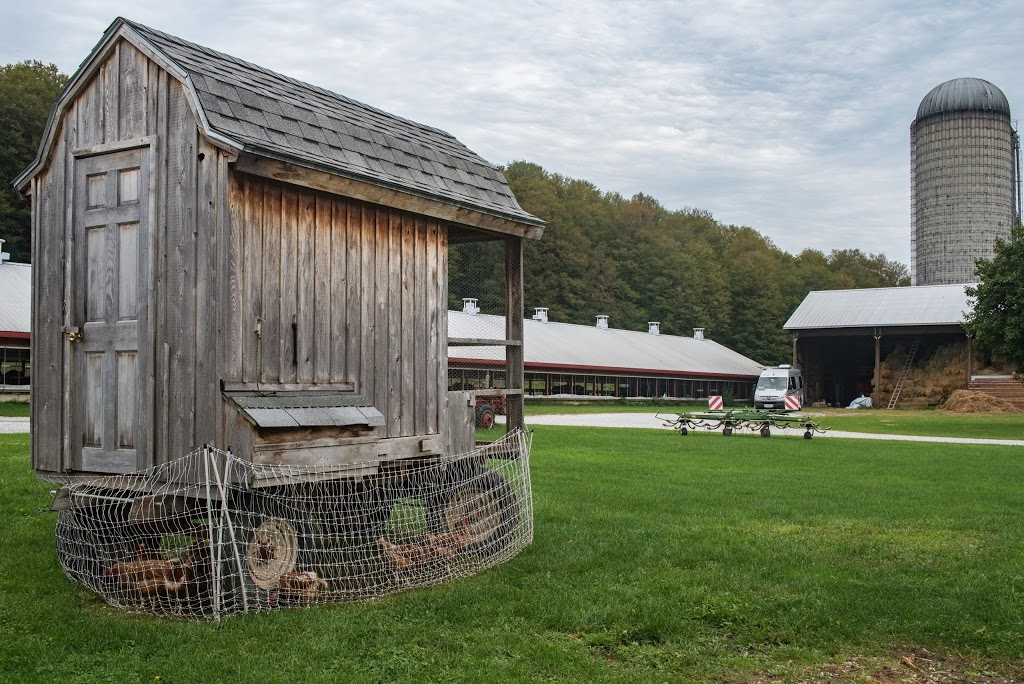 Carman Brook Farm, LLC | 1275 Fortin Rd, Swanton, VT 05488, USA | Phone: (802) 868-2347