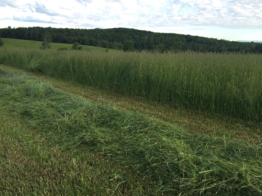 Ferme Gagné et Frères SENC | 132 Chem. du 5 Rang, Saint-Malo, QC J0B 2Y0, Canada | Phone: (819) 570-7425