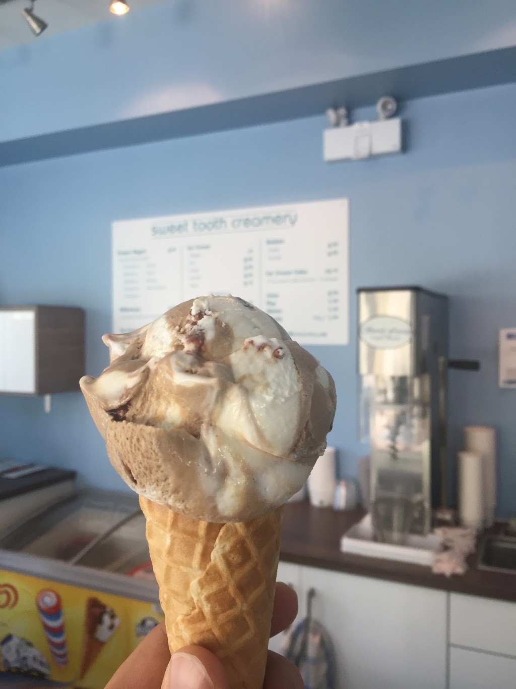 Sweet Tooth Creamery | 10973 Barnston View Rd, Pitt Meadows, BC V3Y 2M5, Canada | Phone: (778) 881-7111