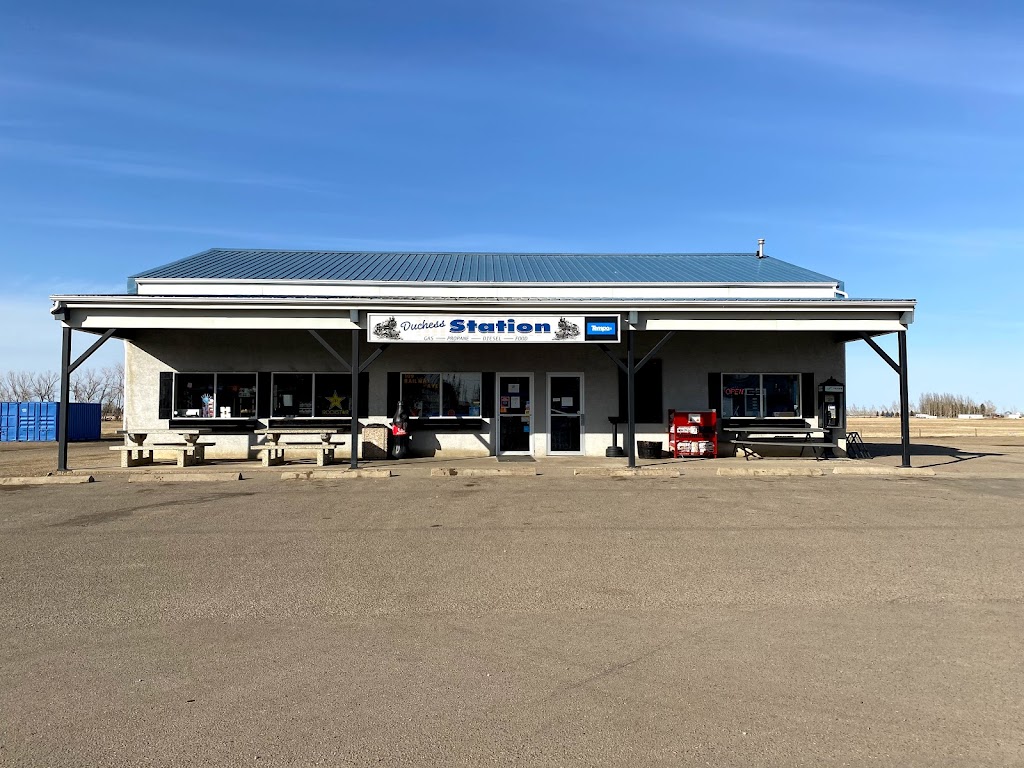 Duchess Station | 109 Railway Ave, Duchess, AB T0J 0Z0, Canada | Phone: (403) 378-3133