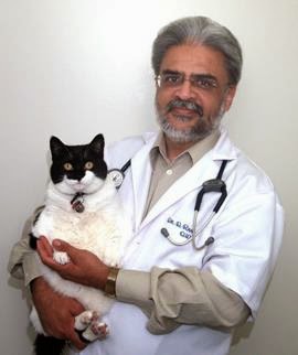 Apex Animal Hospital | 19909 64 Ave #102, Langley City, BC V2Y 1G9, Canada | Phone: (604) 514-1444