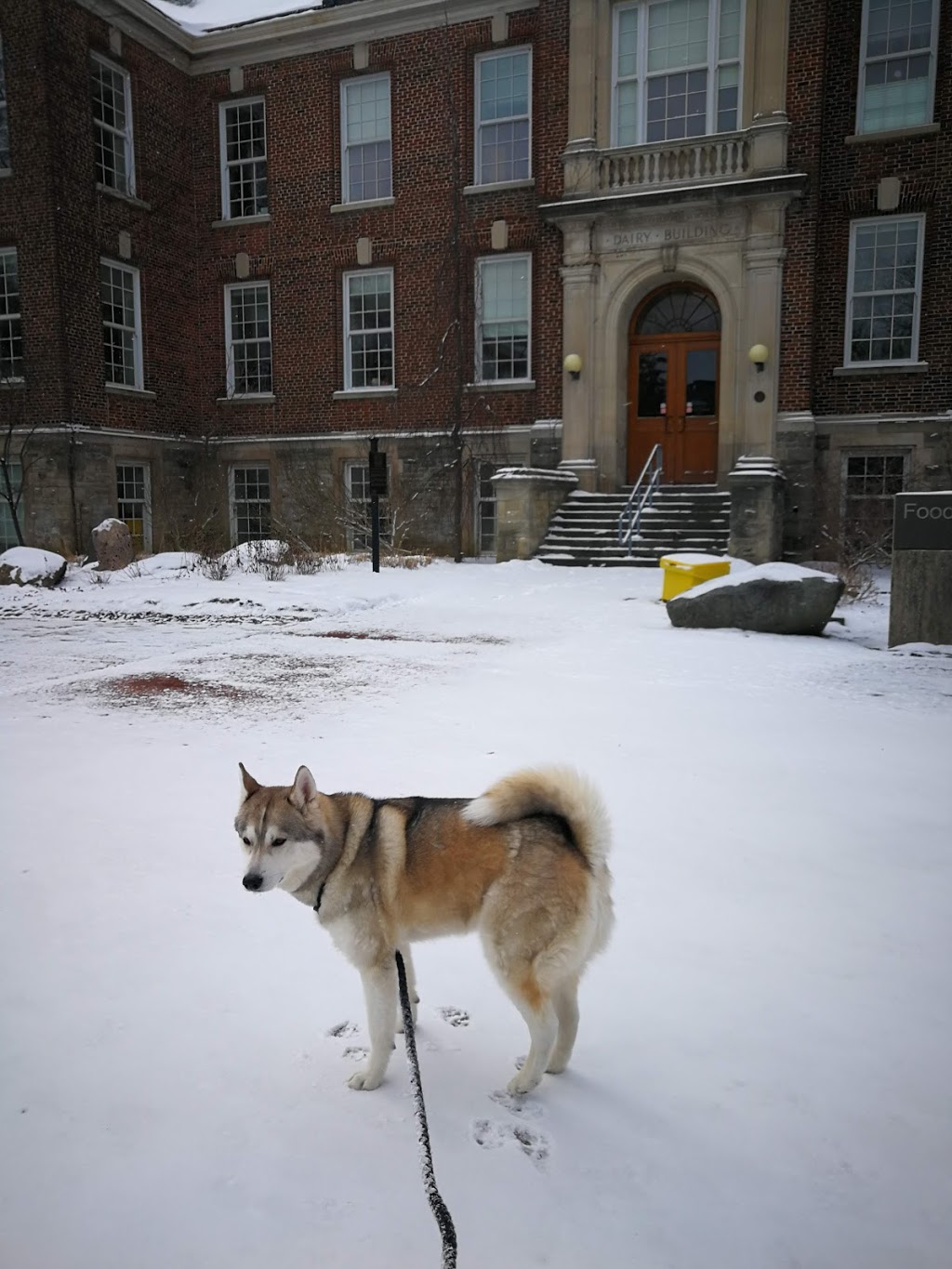 Ontario Veterinary College | Gordon St & College Ave W, Guelph, ON N1G 2W1, Canada | Phone: (519) 836-3510