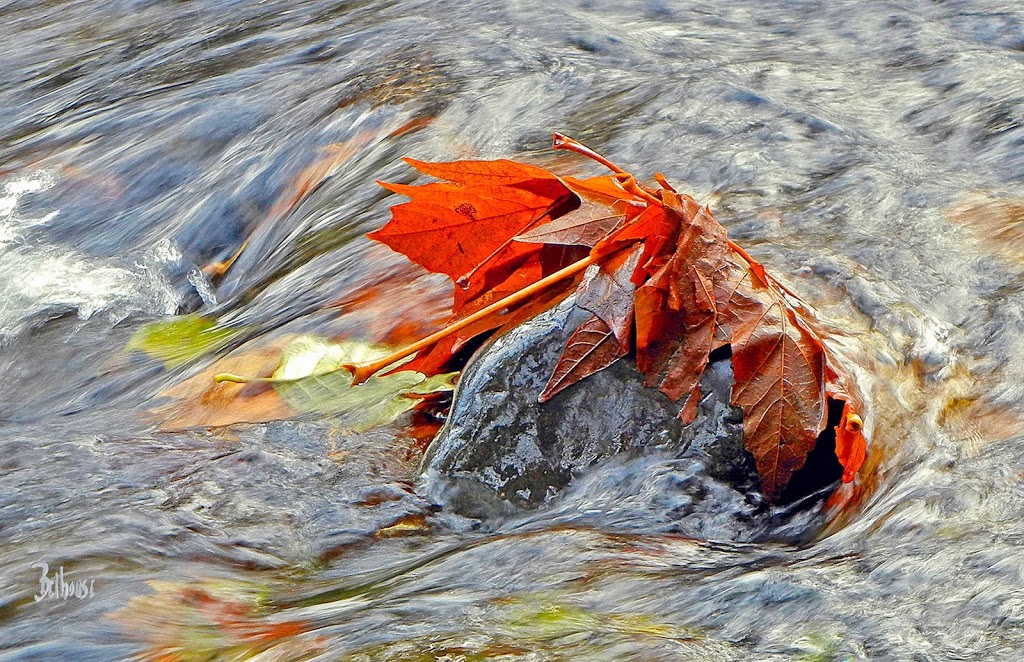 Belhouse Gallery | 13536 Barney Rd, Ladysmith, BC V9G 1E9, Canada | Phone: (250) 245-5383