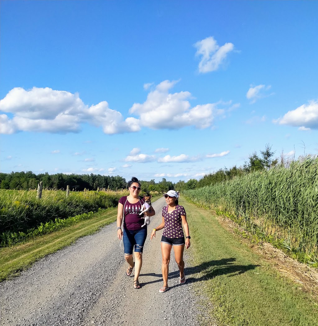 Ferme Colibri Ltee | 573 9e Rang, Wickham, QC J0C 1S0, Canada | Phone: (819) 398-7997