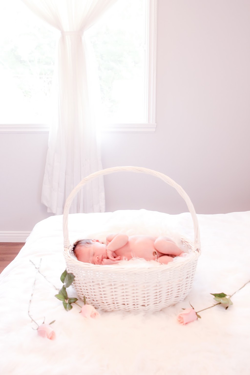 Photographie Gen L | 58 Av des Tournesols, Notre-Dame-des-Prairies, QC J6E 8Y7, Canada | Phone: (450) 756-6517
