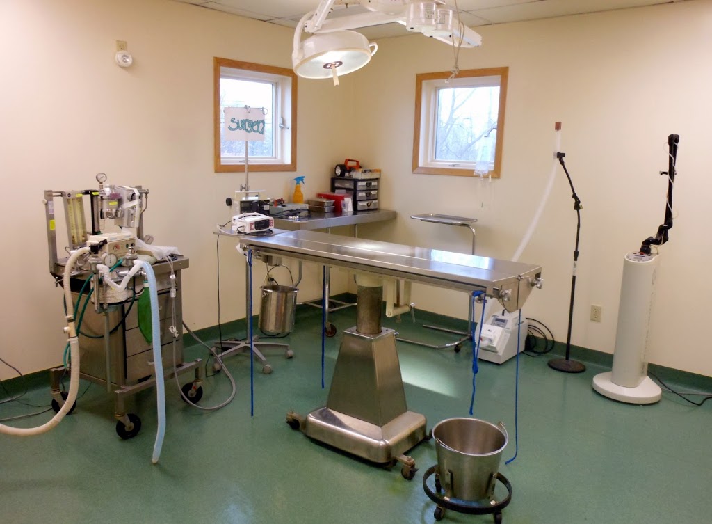 Lancaster Small Animal Hospital: Fetzner Heather A DVM | 5156 Genesee St, Bowmansville, NY 14026, USA | Phone: (716) 681-3033