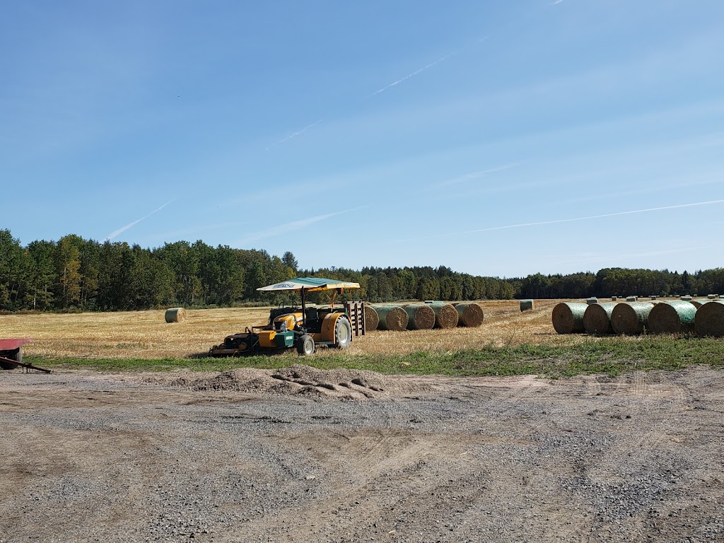 Gazon Bouchard - La relève | 2693 Chem. du Plateau N, La Baie, QC G7B 0H1, Canada | Phone: (418) 818-0787