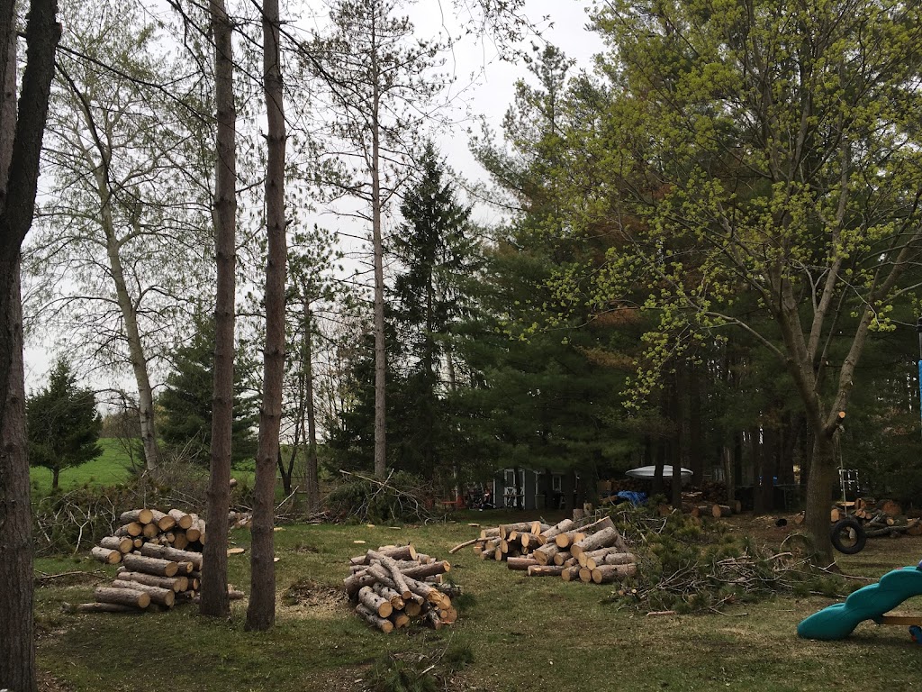 Ultimate Tree Service | 15656 Kennedy Rd, Caledon Village, ON L7C 2H7, Canada | Phone: (905) 757-8733