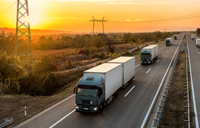 Phoenix Wise Solutions - 凤凰创意 | 多伦多网站设计 | SEO推广公司 | 9225 Leslie St, Richmond Hill, ON L4B 3H6, Canada | Phone: (647) 328-8896