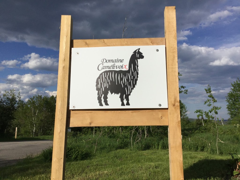 Domaine Camélivoix | 41 Rang Saint Jean Baptiste, La Malbaie, QC G5A 2E4, Canada | Phone: (514) 912-0820