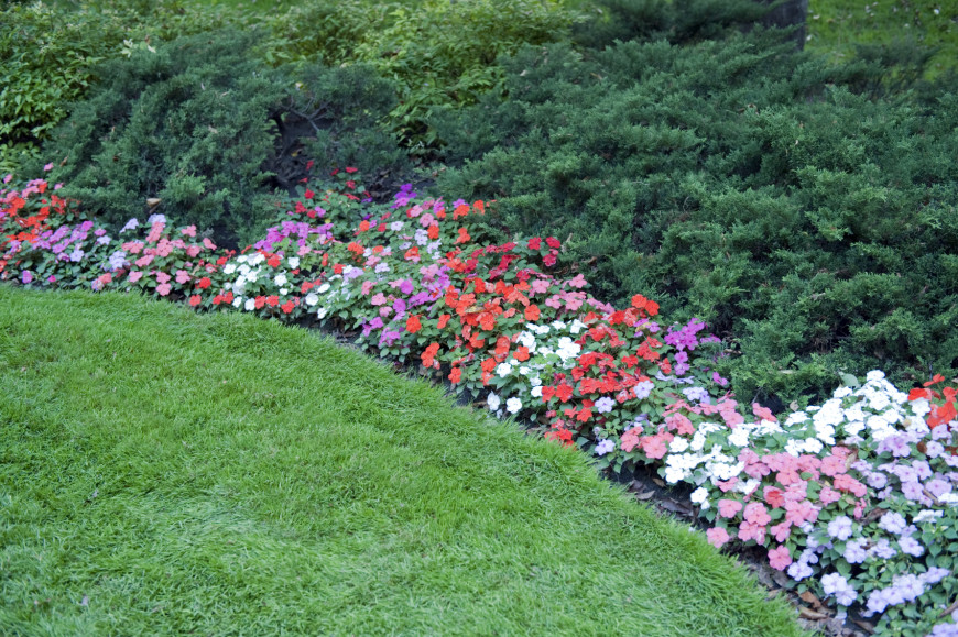 Doans Landscaping & Snow Removal Services | 14361 Medway Rd, Arva, ON N0M 1C0, Canada | Phone: (226) 224-8131