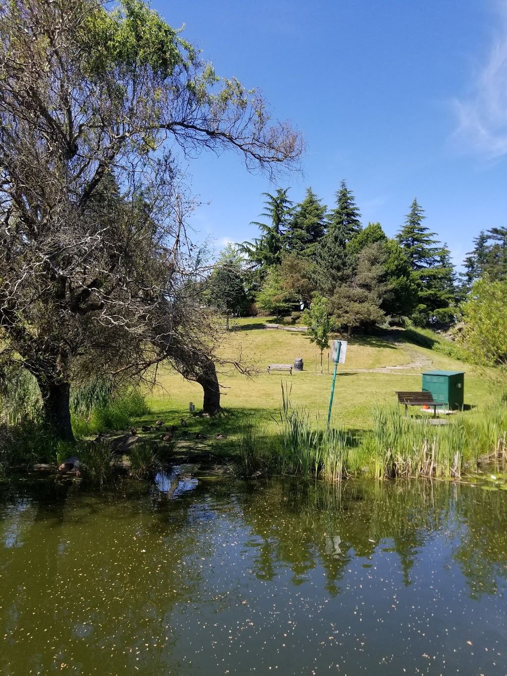 Diefenbaker Park | 6579 1 Ave, Delta, BC V4M 3X9, Canada | Phone: (604) 946-3308