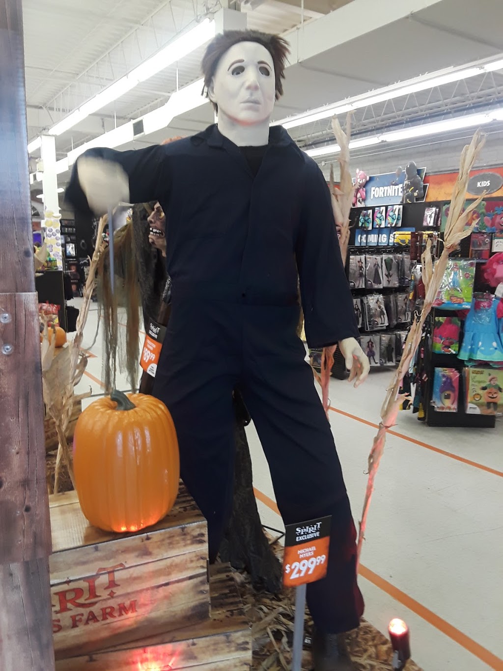 Spirit Halloween | 321 King George Rd, Brantford, ON N3R 5L9, Canada | Phone: (866) 586-0155