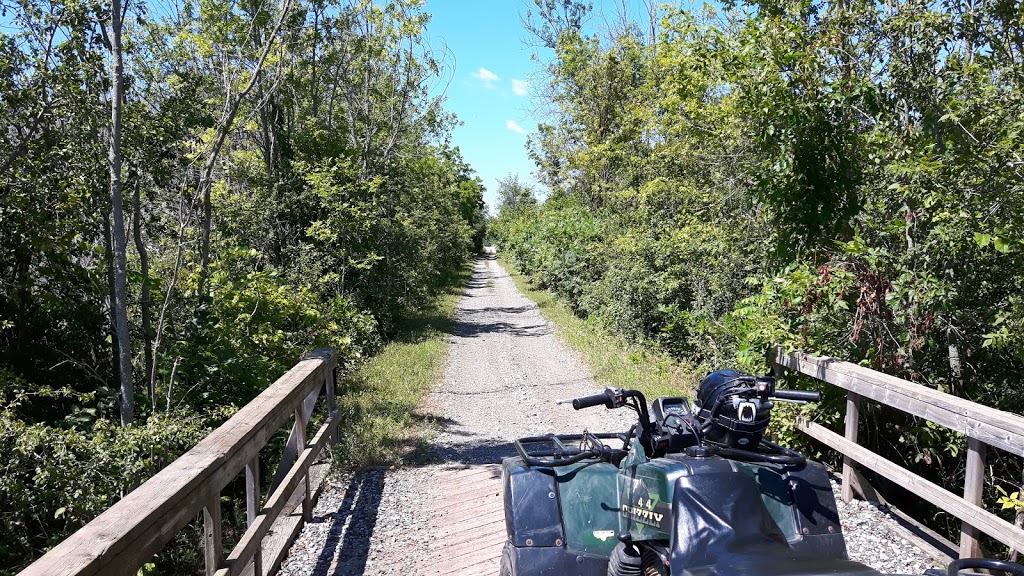 A 1 Excavating | 245 Station Rd, Hillier, ON K0K 2J0, Canada | Phone: (613) 399-5964