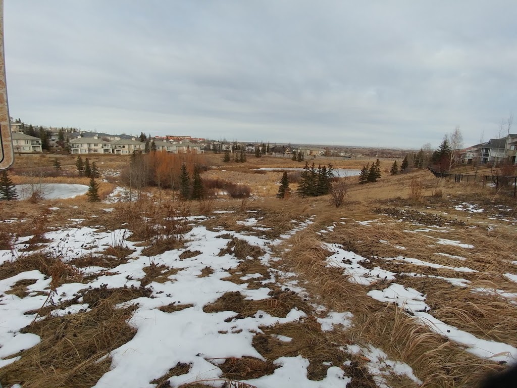 Edgemont Wetland | 9401 Edgebrook Blvd NW, Calgary, AB T3A 5T6, Canada