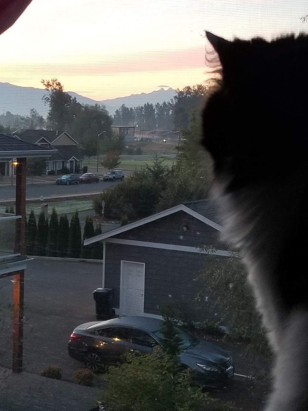 PATTERSON PARK | 725 Judson St, Lynden, WA 98264, USA