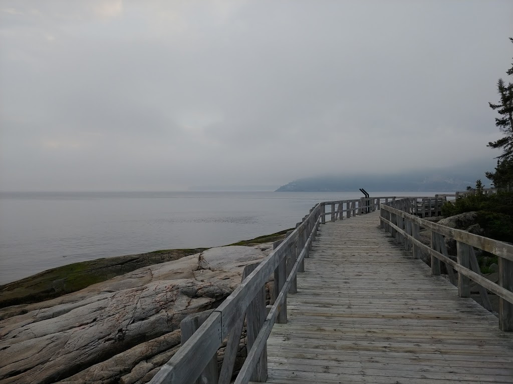 Marina de Tadoussac | 100 Rue du Bord de lEau, Tadoussac, QC G0T 2A0, Canada | Phone: (418) 235-4585
