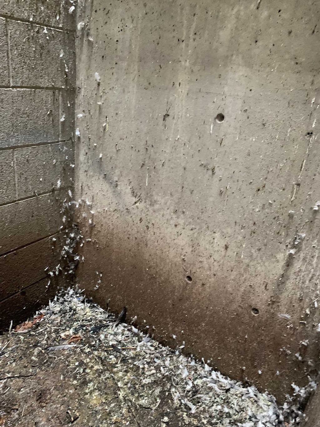 Zolo Pest Control Inc | 70 Cotton St, Bowmanville, ON L1C 5H2, Canada | Phone: (905) 244-1214