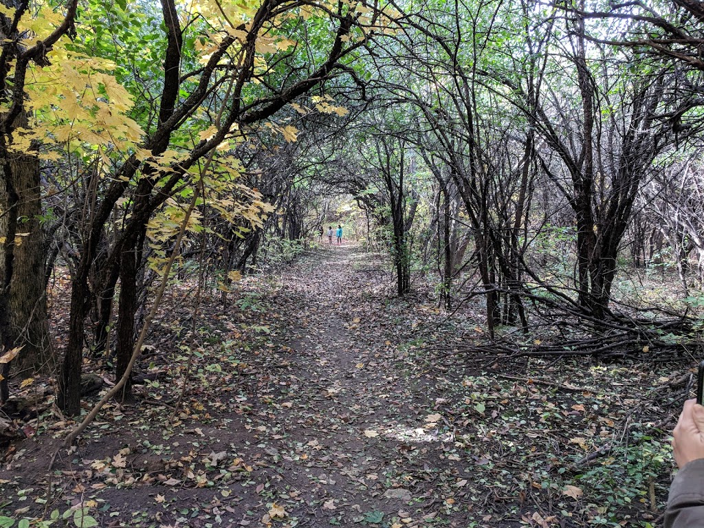 Owl Park | 215 Owl Dr, Ottawa, ON K1V, Canada | Phone: (613) 580-2595