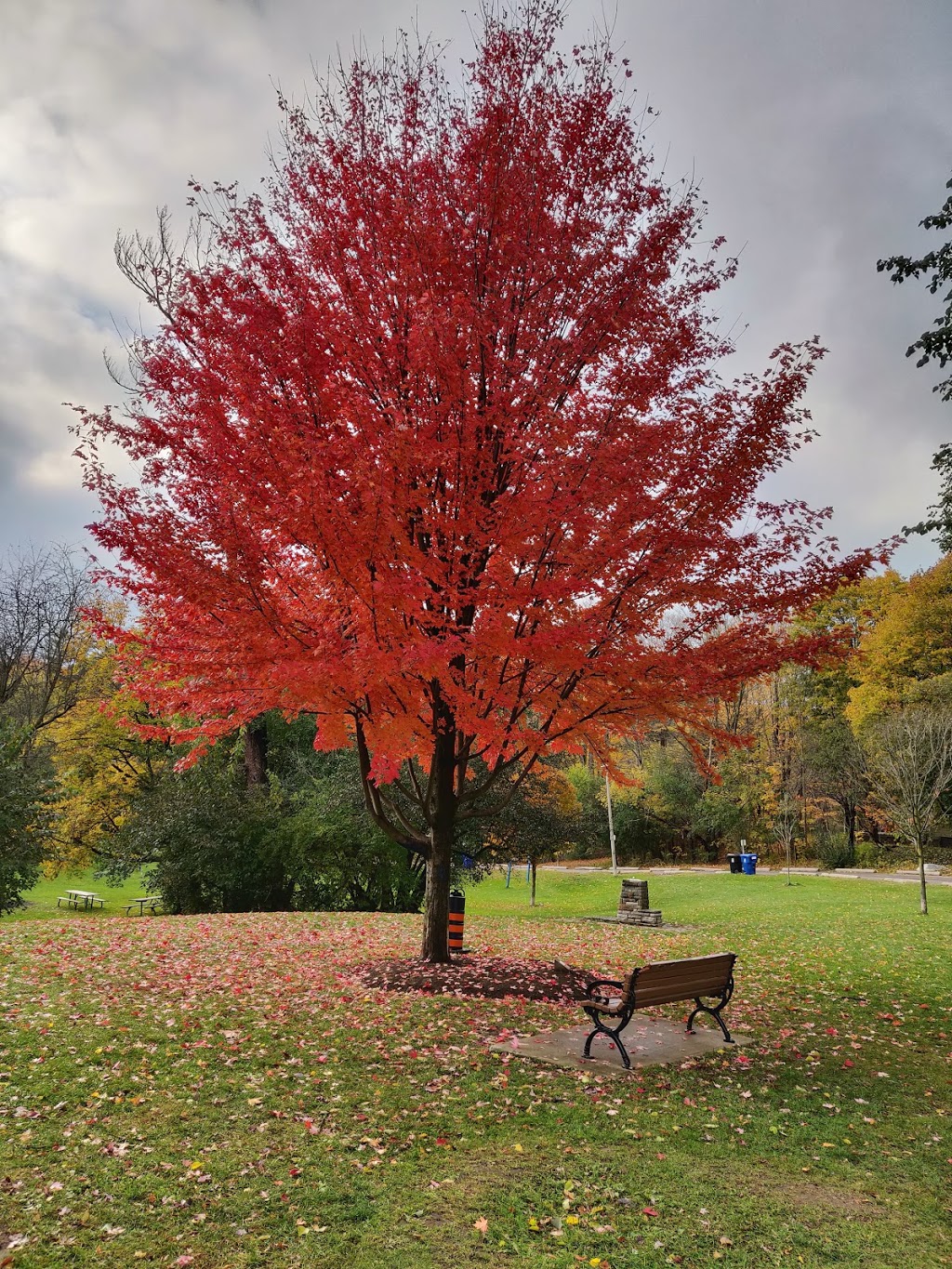 Sunnybrook Park | 1132 Leslie St, Toronto, ON, Canada | Phone: (416) 338-4386