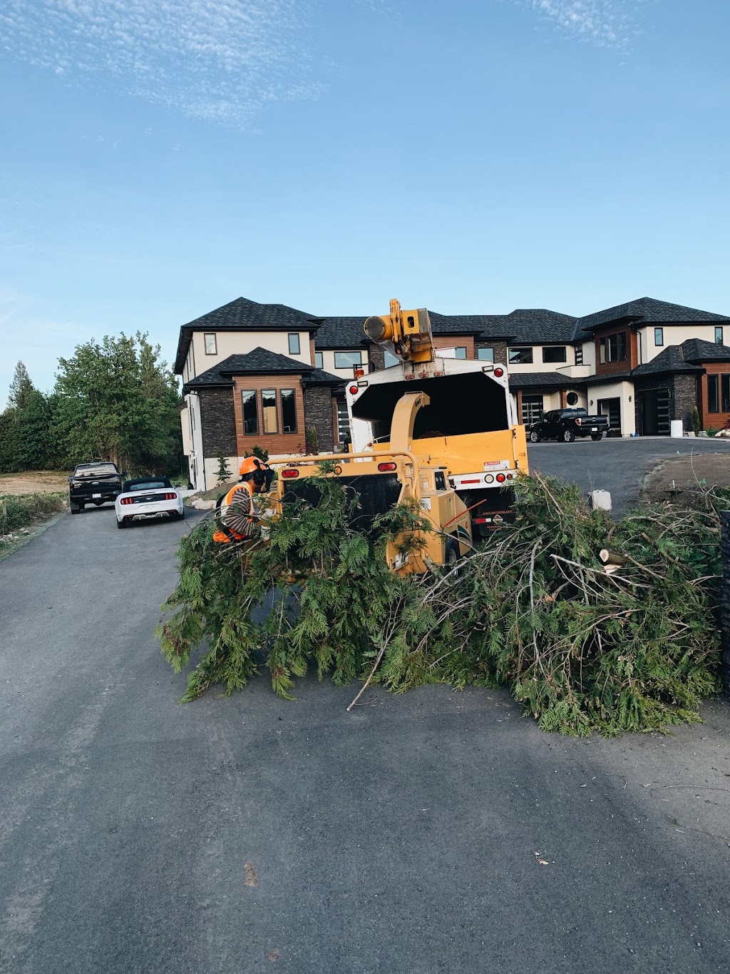 Diamond Tree Service | 5390 Beharrell Rd, Abbotsford, BC V3G 1P8, Canada | Phone: (604) 832-2317