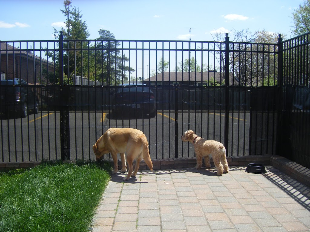 Canine Comforts | 12612 Hwy 50 #11a, Bolton, ON L7E 1T6, Canada | Phone: (905) 857-2733