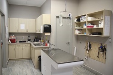 Victoria Street Animal Hospital | 634 Victoria St, Strathroy, ON N7G 3C1, Canada | Phone: (519) 245-0786