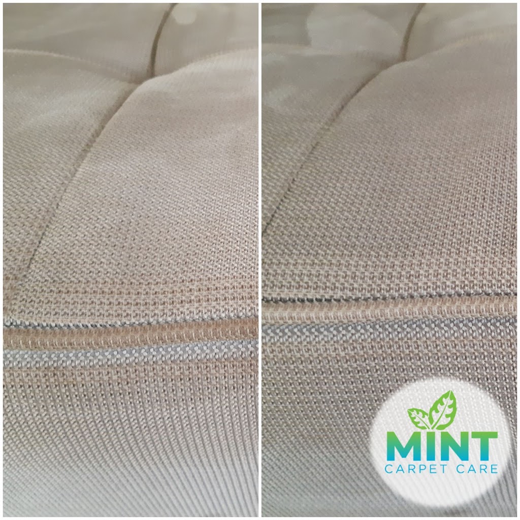 Mint Carpet Care | 317 Park Lawn Rd #28, Etobicoke, ON M8Y 3K2, Canada | Phone: (416) 828-3804