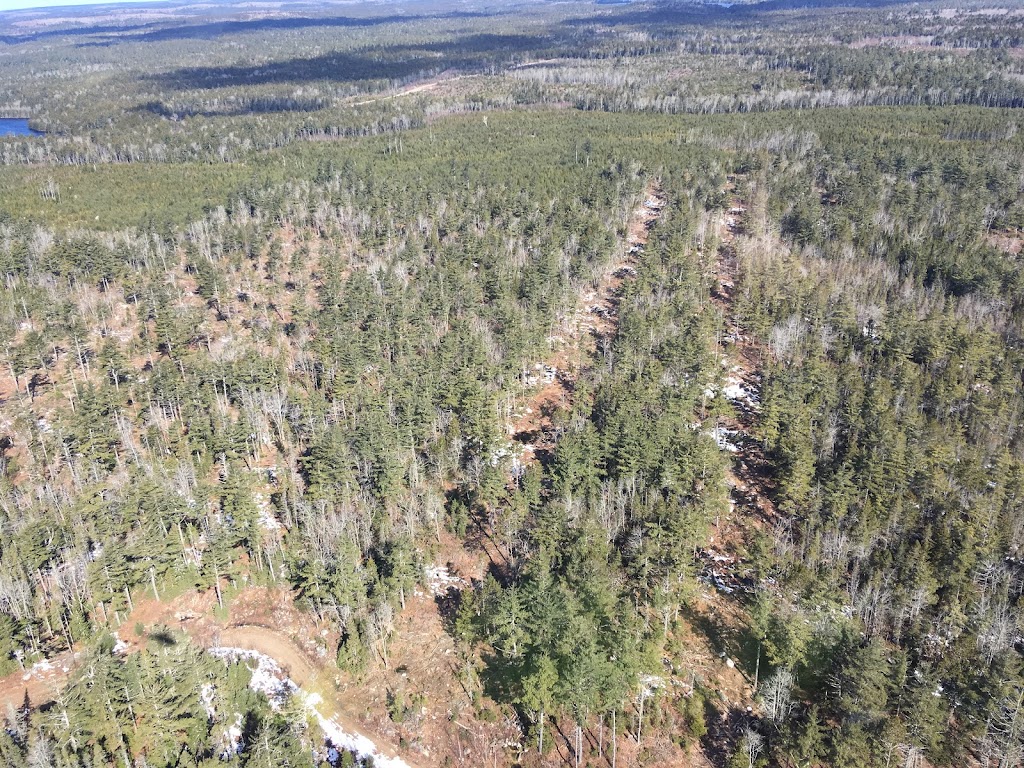 Medway Community Forest Coop | 9793 Nova Scotia Trunk 8, Caledonia, NS B0T 1B0, Canada | Phone: (888) 834-6232