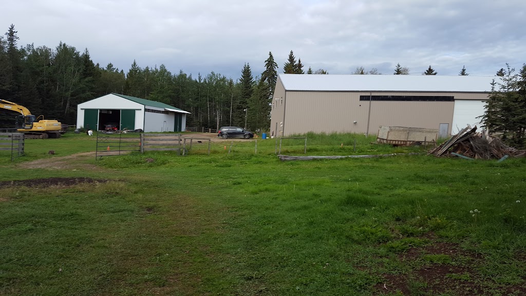 Painted Warriors Ranch | 31341 RR 5.1, AB T0M 0R0, Canada | Phone: (403) 637-9138
