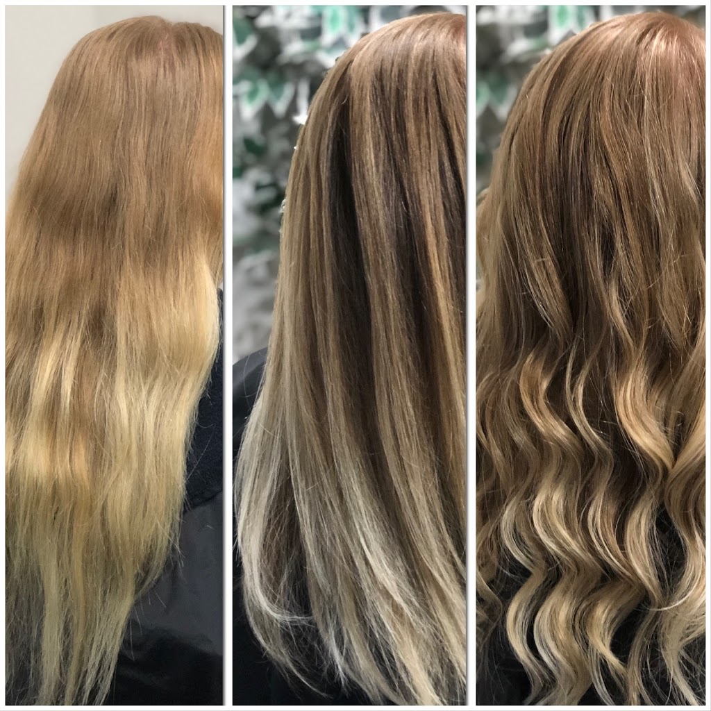 NewVue Salon & Studio | 42 Banffshire St, Kitchener, ON N2R 1W3, Canada | Phone: (519) 568-3685