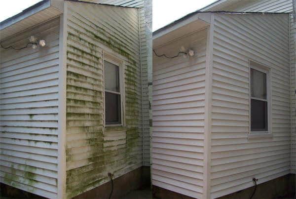 Restoring Roots Property Services | 255 Farnham Gate Rd, Halifax, NS B3M 4M9, Canada | Phone: (902) 471-2171